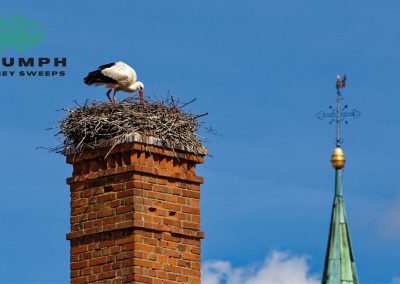 Triumph Chimney Sweeps Works